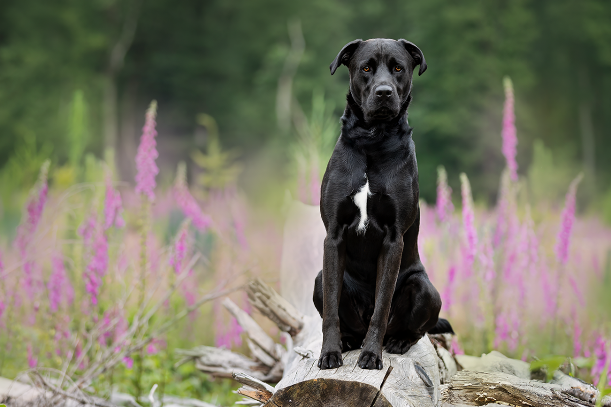 Fotografie im Westerwald