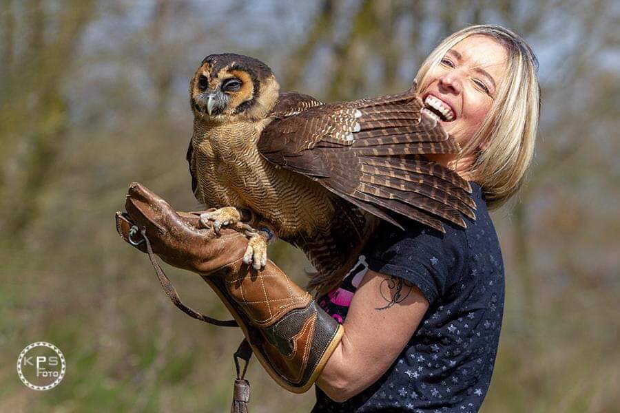 WILDTIERFOTOGRAFIE